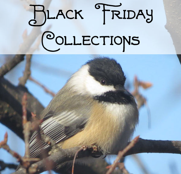 🎁⏰ Black Friday Collections ⏰🎁