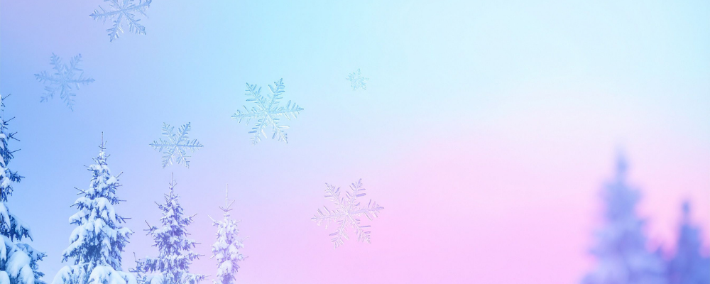 Poesie Sleighcation 2025