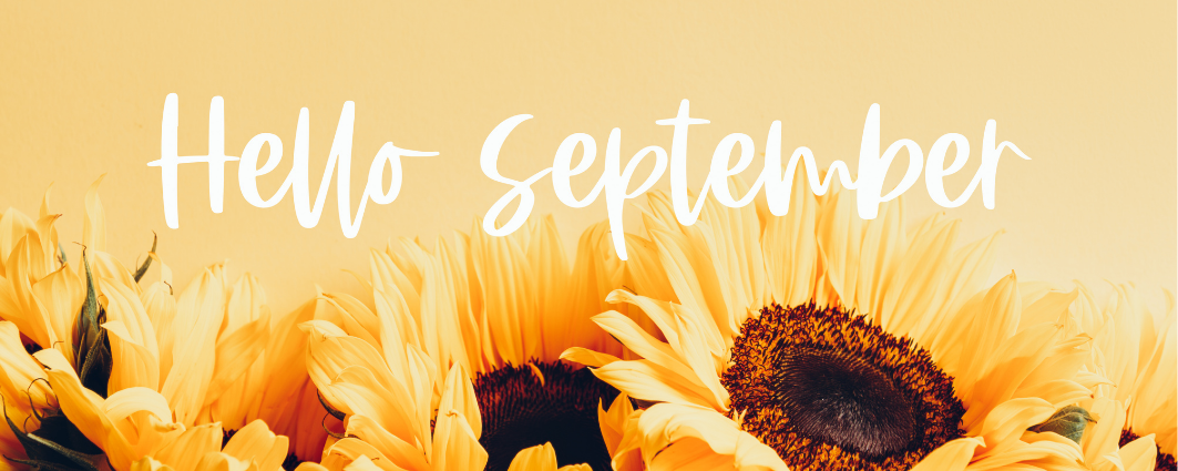 September Restock Pre-Orders