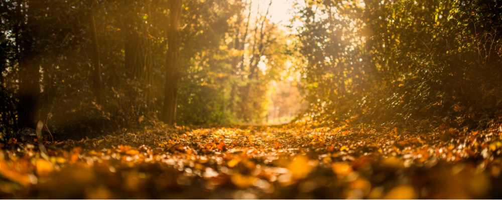 BPAL October Mini Launch 2025