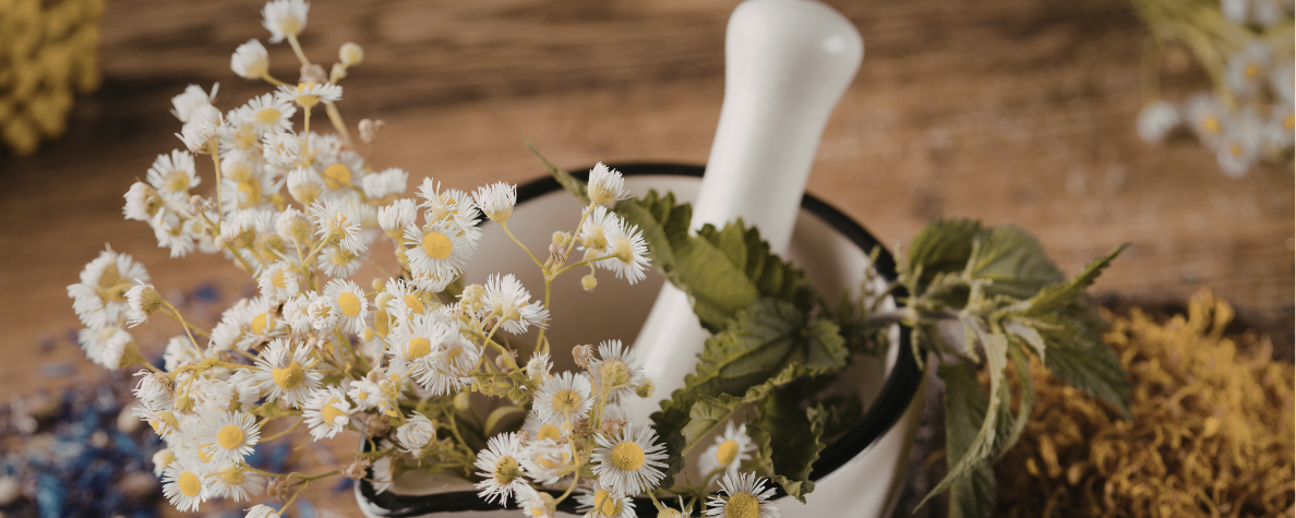 Nocturne Alchemy Musk Vault & Thoth's Archive Spring