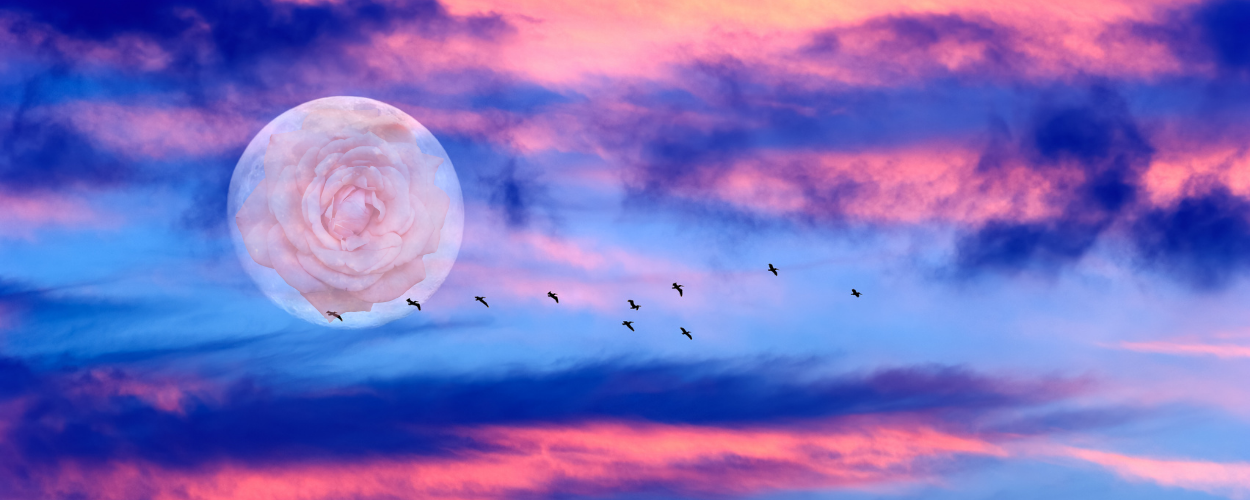 Black Phoenix Alchemy Lab Rose Moon / July 2026