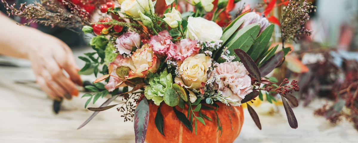 Astrid Autumn & Halloween '26 (VAULT RELEASE)