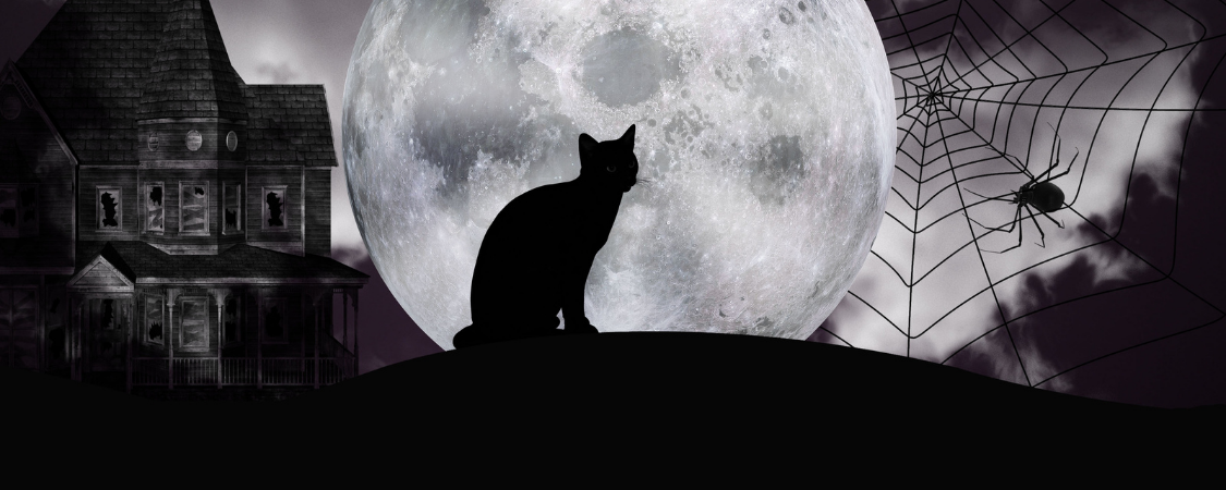 NAlloween Resurgence & Part One 2026