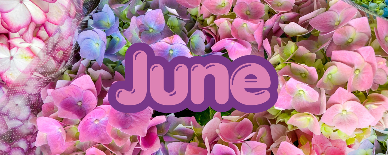JUNE Restock Pre-Orders 2026