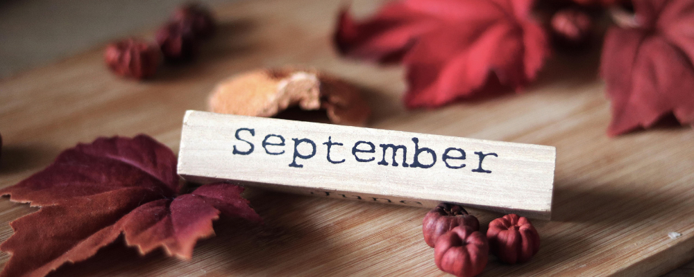 September Restock Pre-Orders 2026