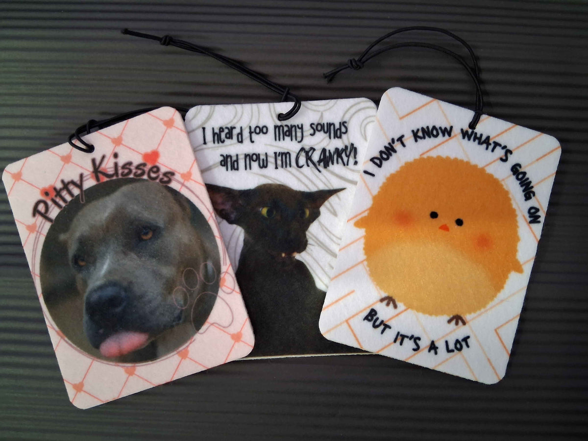 Accessories: Hanging Air Fresheners