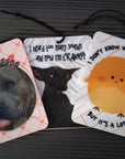 Accessories: Hanging Air Fresheners
